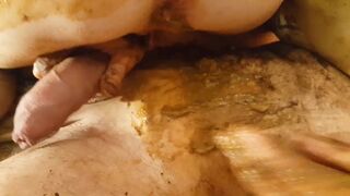 Scat couple fuck - video 2