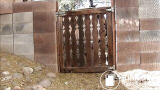 peeing and pooping - video 3