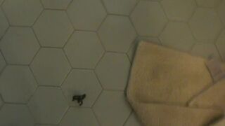 Pooped on and flushed