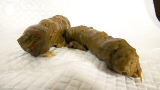 ... - 374 Japanese Pooping