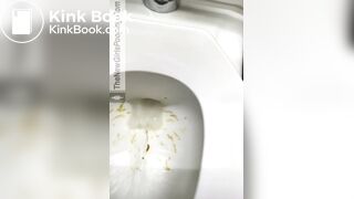 Bootylicious on toilet4