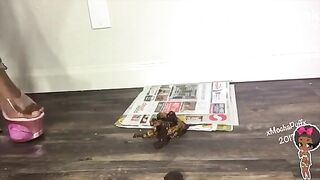 Twerking poop