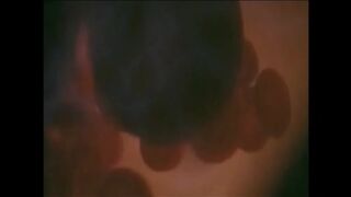 What It Means to be Eaten & Digested Alive