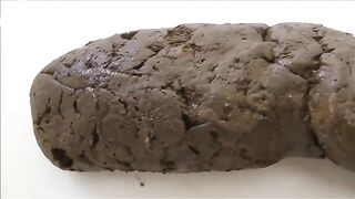 Huge poo poo - video 2