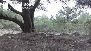 Girl shitting outdoors