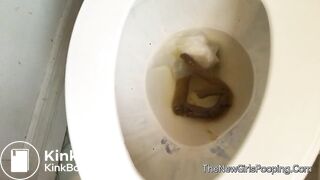 Bootylicious on toilet6