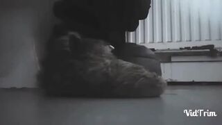 Girl poops out a lot