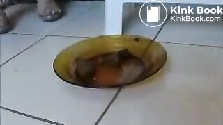 college girls pooping compilation