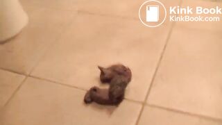 Sexy MILF shit custom