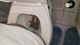 Ebony poop - video 19