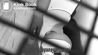 The Death of a Toilet