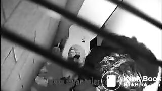 The Death of a Toilet