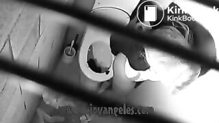 The Death of a Toilet