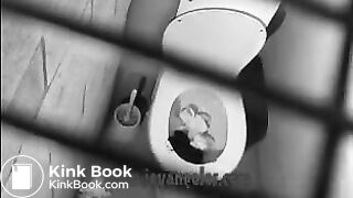 The Death of a Toilet