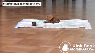 Dirty scat housewife