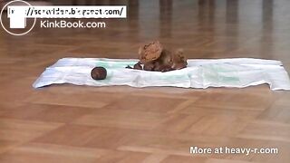 Dirty scat housewife