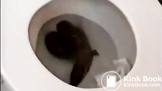 Sexy pooping - video 118