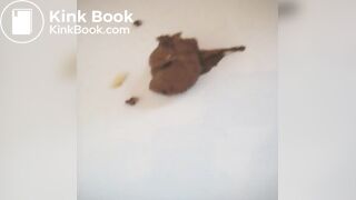 German suppository scat