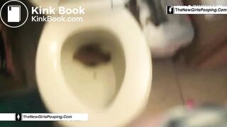 Porcelain Toilet Poop 2