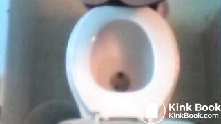 big poop turd series