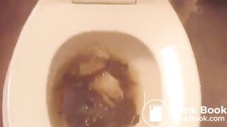Multiple girls pooping - video 3
