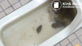 Japanese poop over a shitty toilet