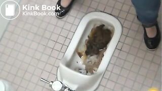 Japanese poop over a shitty toilet