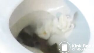 Sexy chick toilet poop and fart - video 2