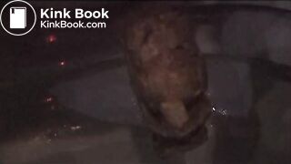 Compilation: Amateur girlfriend pooping for bf