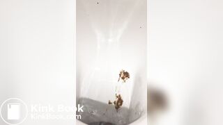 Restaurant bowlcam pooping