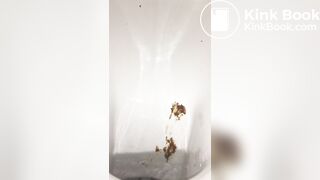 Restaurant bowlcam pooping