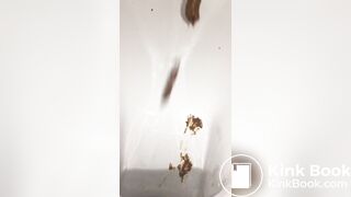 Restaurant bowlcam pooping