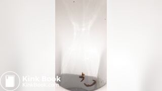 Restaurant bowlcam pooping