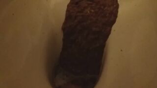 diarrhea again! - video 2