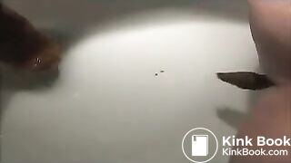 Three college girls pooping