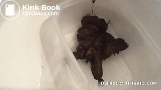 Massive dump in toilet 3.