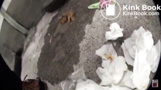 poop selfie - video 3