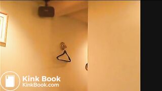 Another Japanese Voyeur