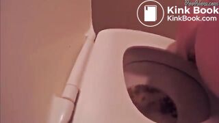 Alexa takes a shit on the toilet