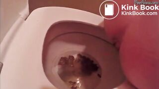 Alexa takes a shit on the toilet
