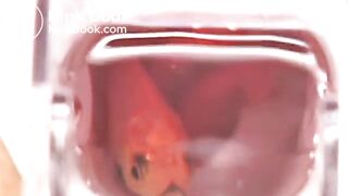 Japanese girl enema - video 3