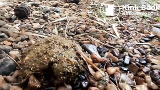 pooping and pissing - video 2