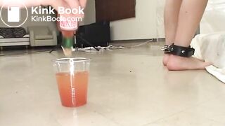 Elegant lady extreme scat degradation and t0rture - 3