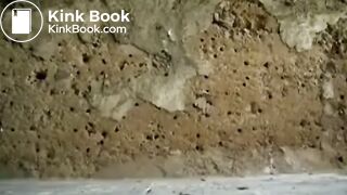 Ultra sexy lady shits in abandoned area