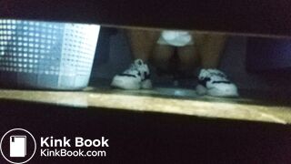 Chinese college students' toilet pooping