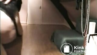 Nice dinner - video 2