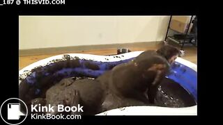 Dirty Couple Bathing In Cow Shit