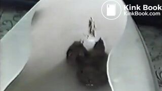 Vintage Homemade Shitting-3