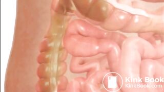 Welcome to my Stomach