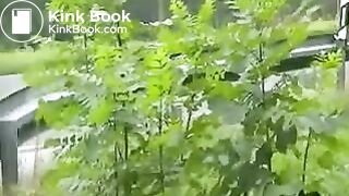 outdoor shitting girl - video 2